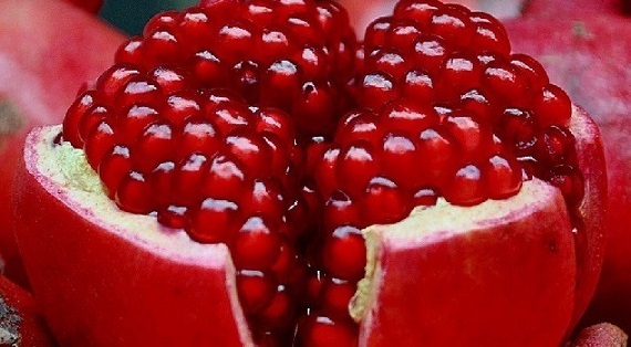 Pomegranate Fruit